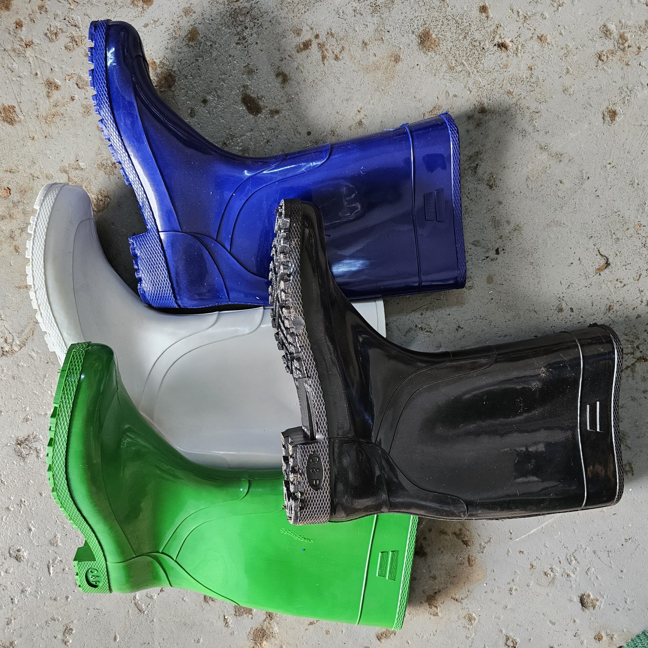 Gumboots colored and normal